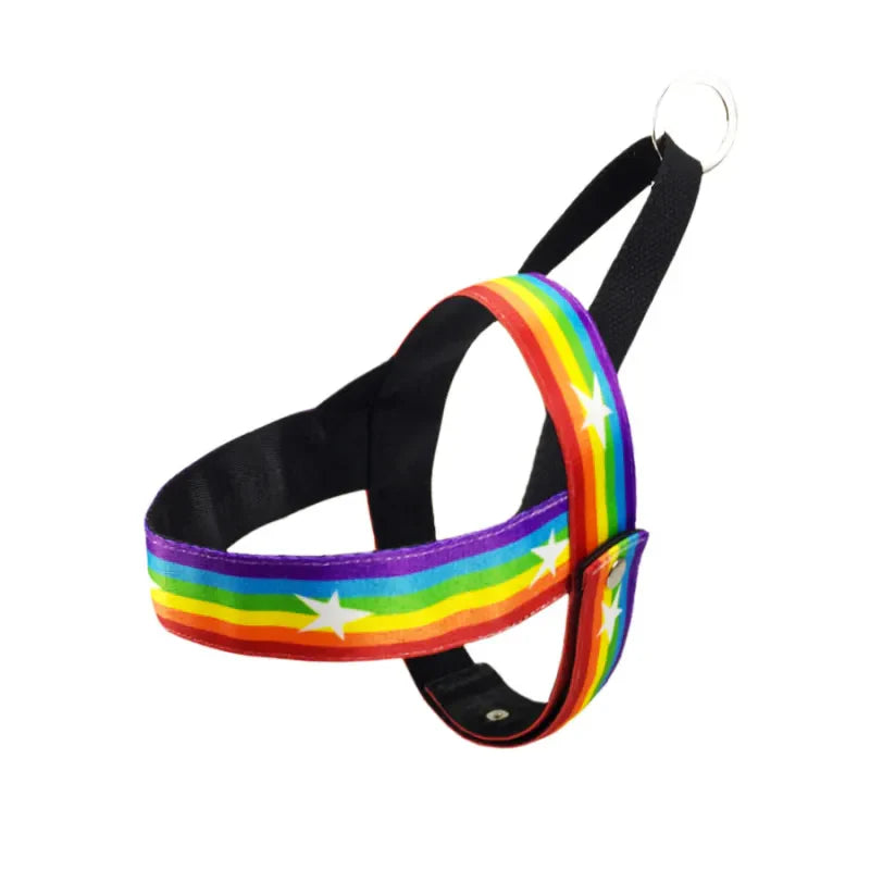Rainbow Dog Harness with Stars - Soft and Adjustable for Comfort and Safety