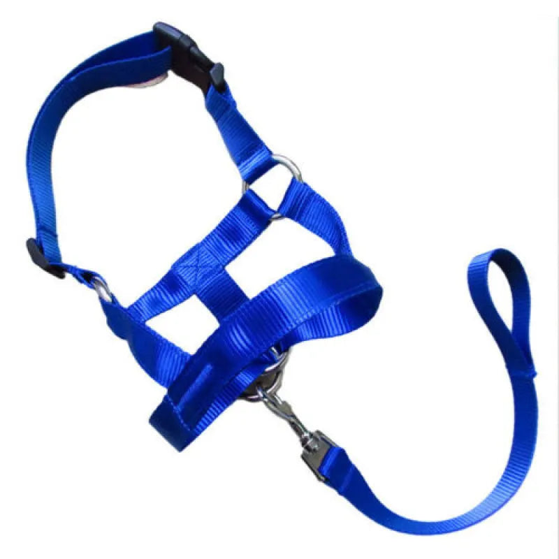 Adjustable Harness with Leash for Small and Medium-Sized Dogs