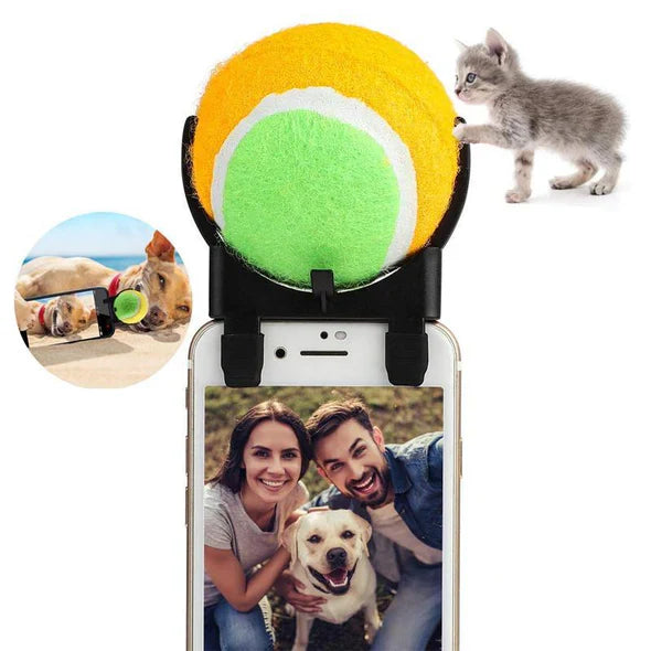 Interactive Ball Toys for Pets