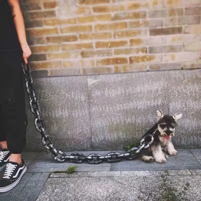 Stylish and Fun Dog Leash