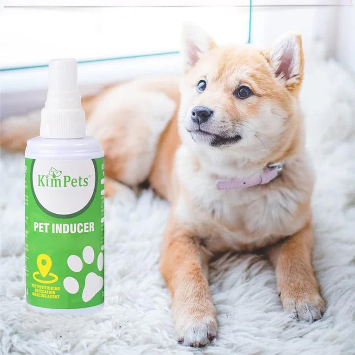 Instructions for Targeted Placement of Pet Toilets