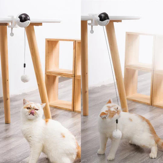 Automatic Toy for Cats