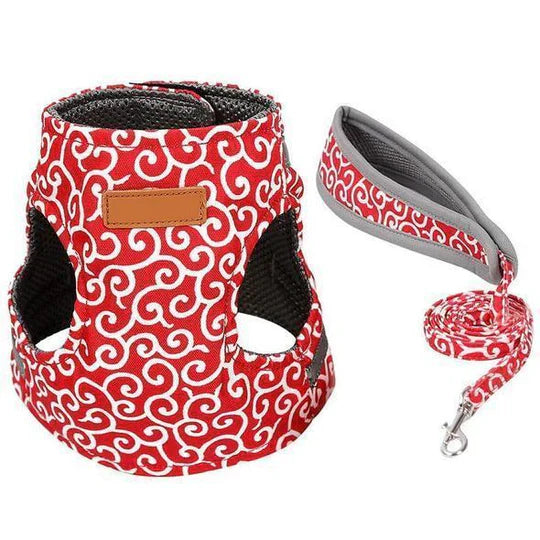 Breathable Harness for Cats with Leash for Outdoor Walks