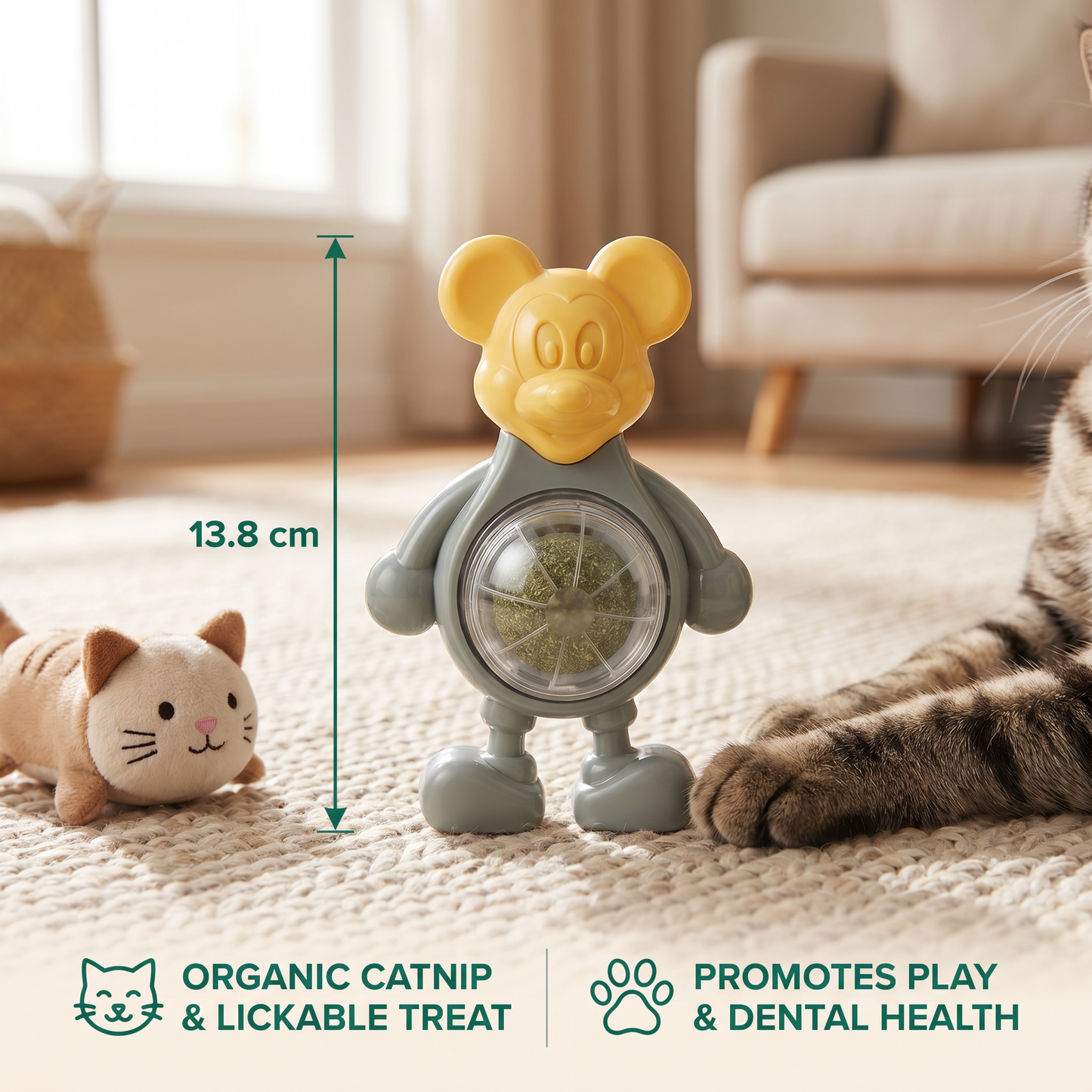 Catnip Ball Chew Toy