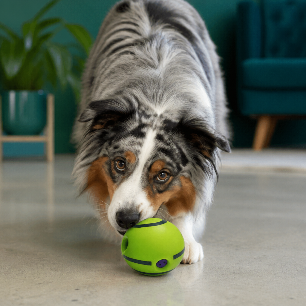 Interactive Squeaky Wobble Dog Ball – Durable Self-Play Toy