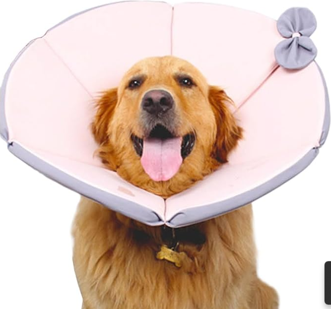 Comfortable Protection Collar for Dogs