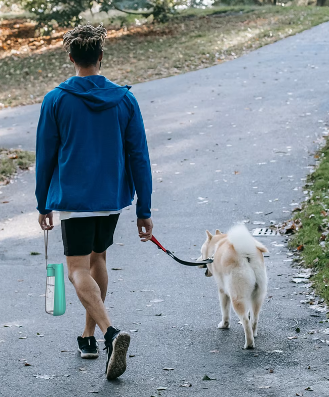 Portable Water Bottle for Dogs - Leak-Proof Travel Dispenser with Integrated Bowl