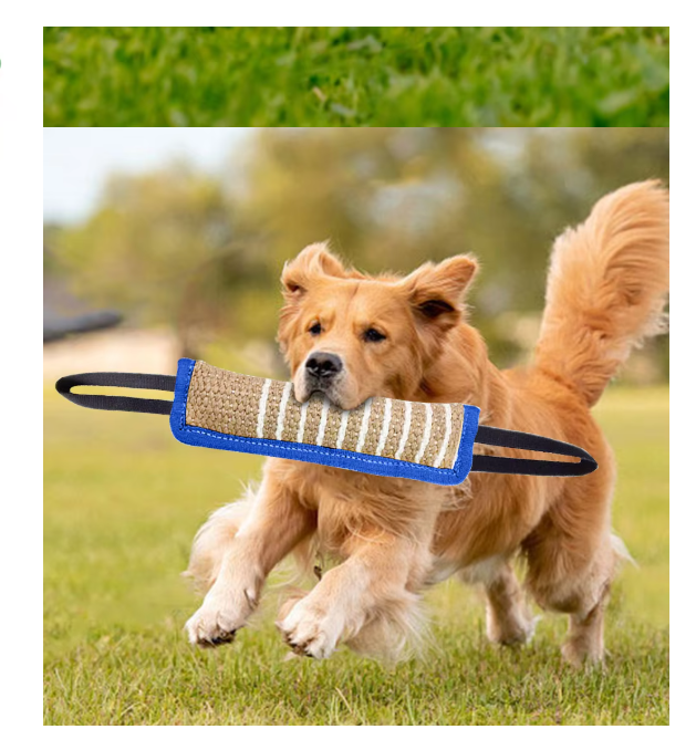 Chewable Sausage for Dogs β Durable Jute Training Toy with Handles for Puppies and Adult Dogs