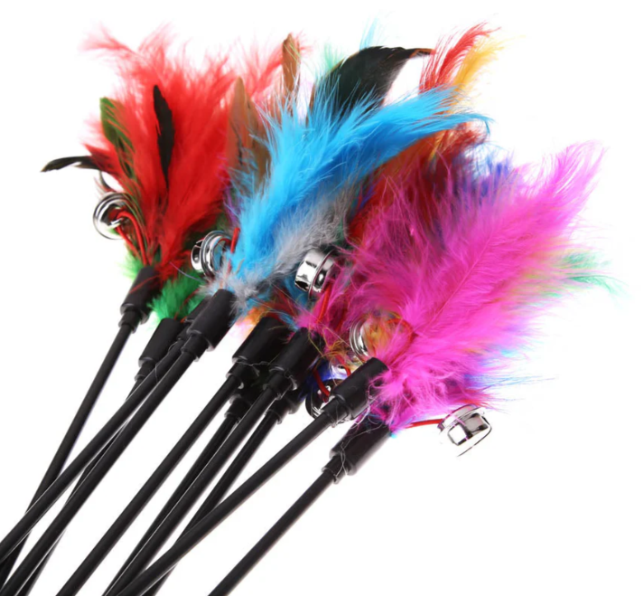 Cat Toy with Coloured Feathers (Set of 5)