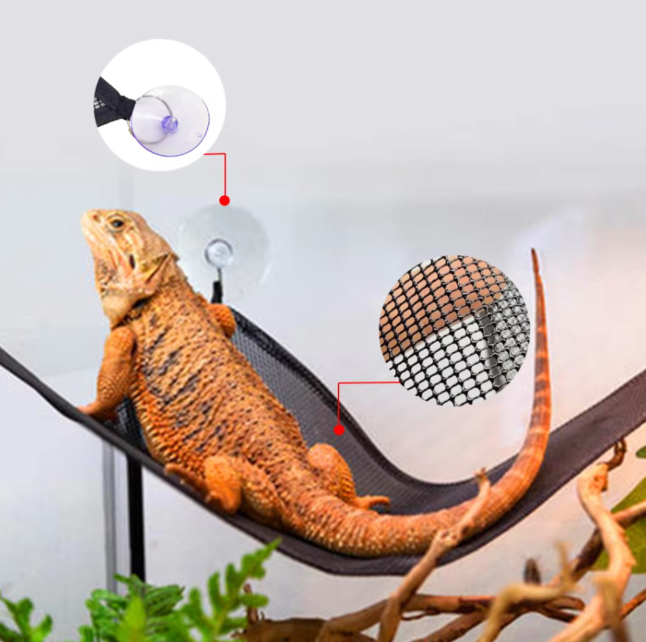 Reptile Hammock - Net Hammock with Suction Cups for Terrariums