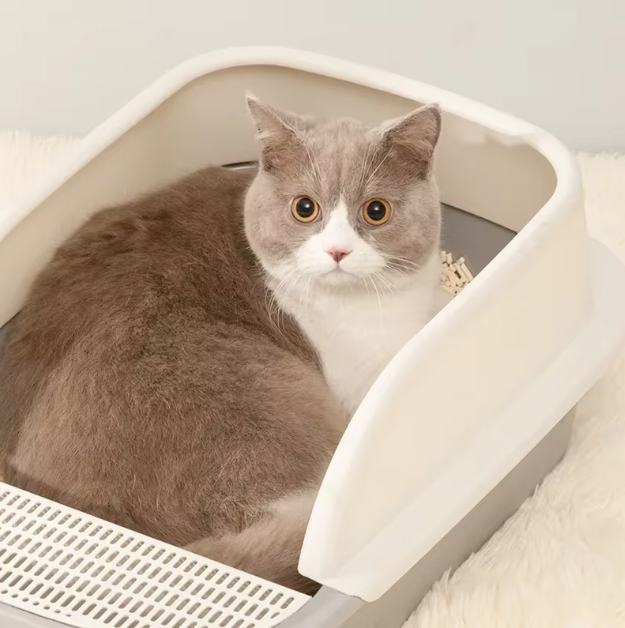 High-Sided Litter Box - Practical and Hygienic