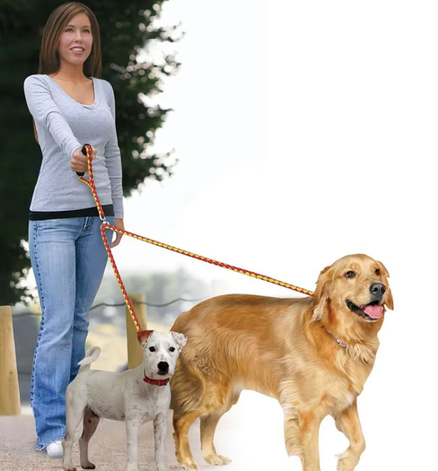 Dog Leash in Nylon – Durable Double Dog Leash Kit with Handle