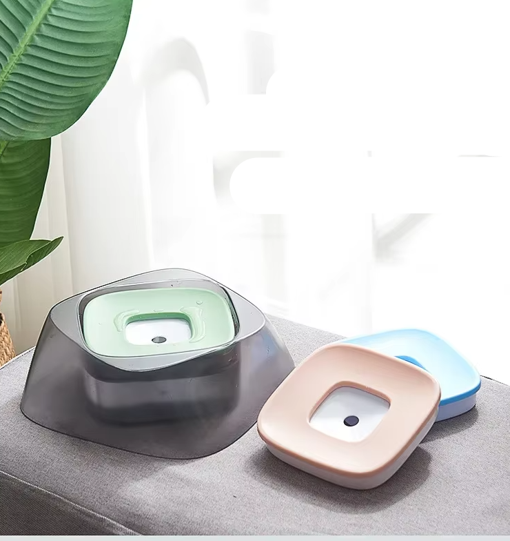 Raised Dog Bowl with Non-Slip Base