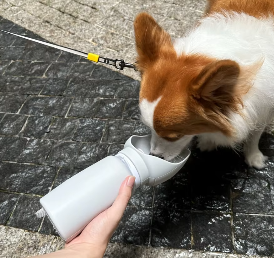 Collapsible Water Bottle for Pets with Integrated Bowl