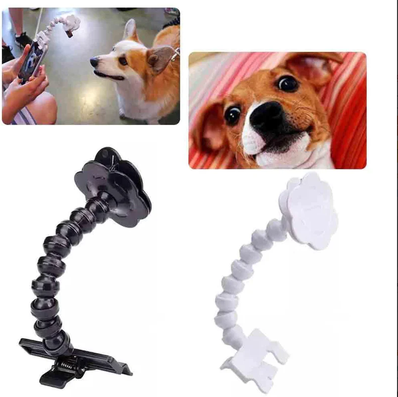Selfie Stick for Pets with Treat Holder