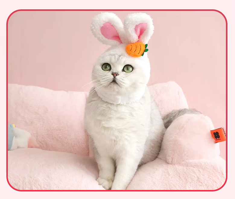 Cat Hat with Bunny Ears and Carrot or Flower Design for Adorable Companion Photos