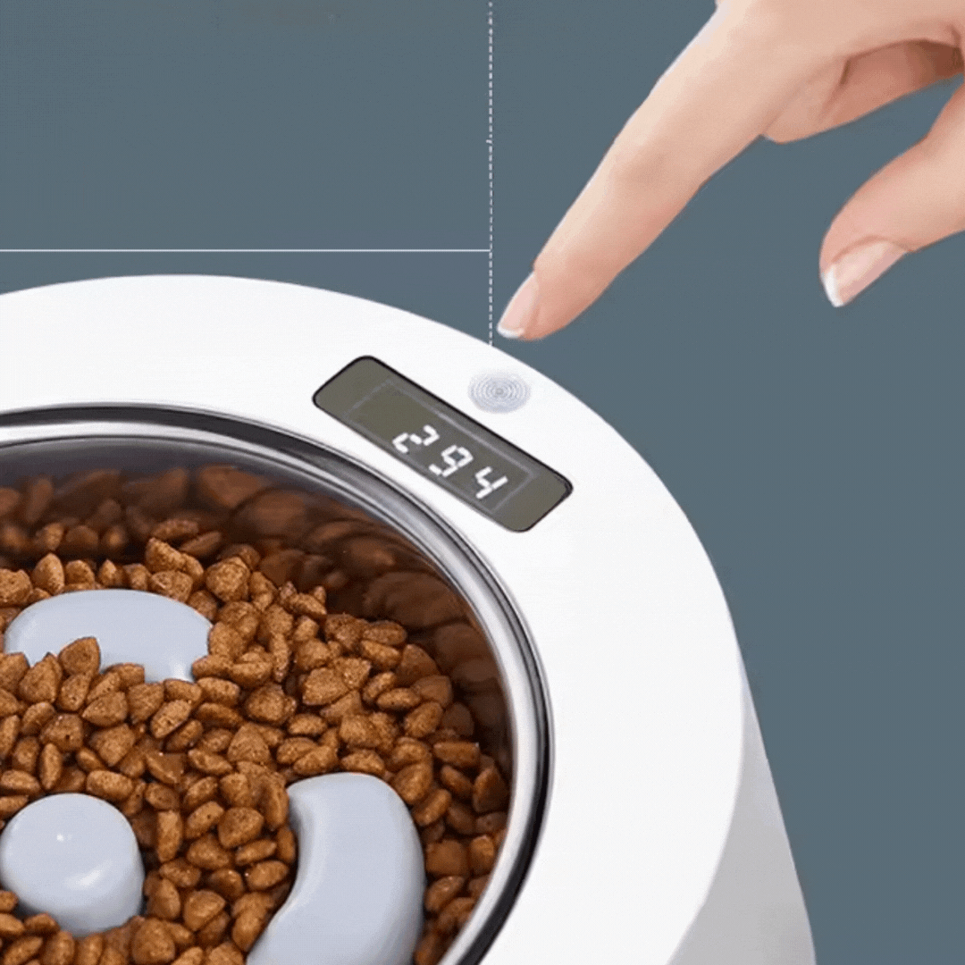 Automatic Food Dispenser for Dogs and Cats – Interactive Feeder with Digital Display