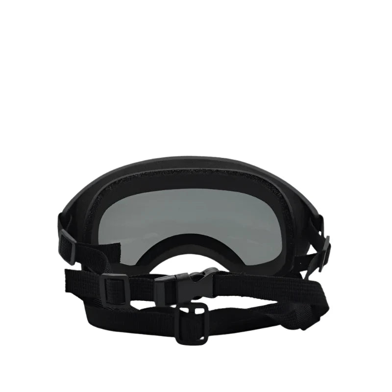 Protective Glasses for Dogs - Stylish Pet Glasses with UV Protection in Different Colours