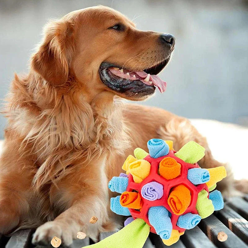 Sniffing Ball - Interactive Treat Toy