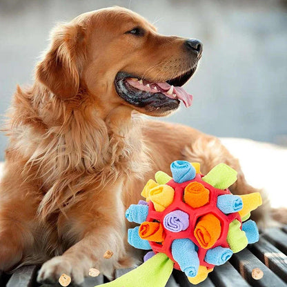 Sniffing Ball - Interactive Treat Toy