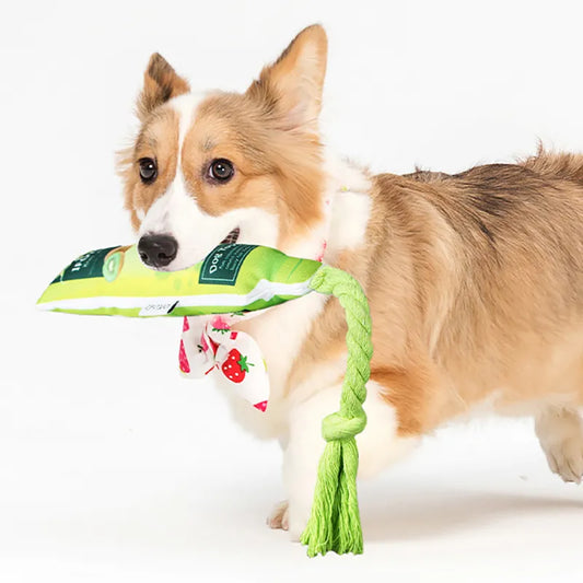 Fruit Jam Dog Toys – Squeaky Toy with Chew and Tug Rope