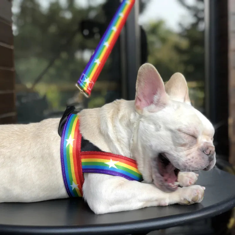 Rainbow Dog Harness with Stars - Soft and Adjustable for Comfort and Safety