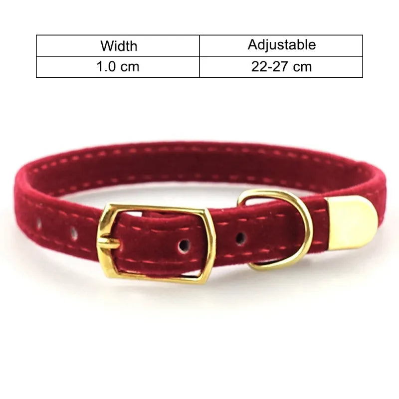 Velvet Cat Collar with Gold Buckle - Adjustable and Stylish