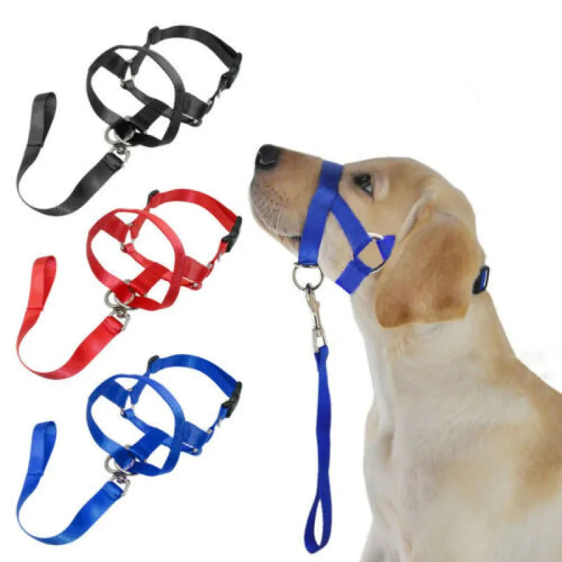 Adjustable Harness with Leash for Small and Medium-Sized Dogs