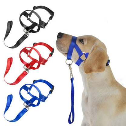 Adjustable Harness with Leash for Small and Medium-Sized Dogs