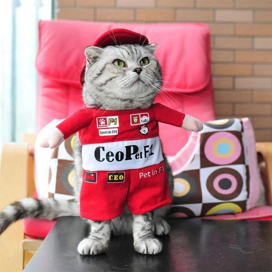 Creative Costumes for Pets