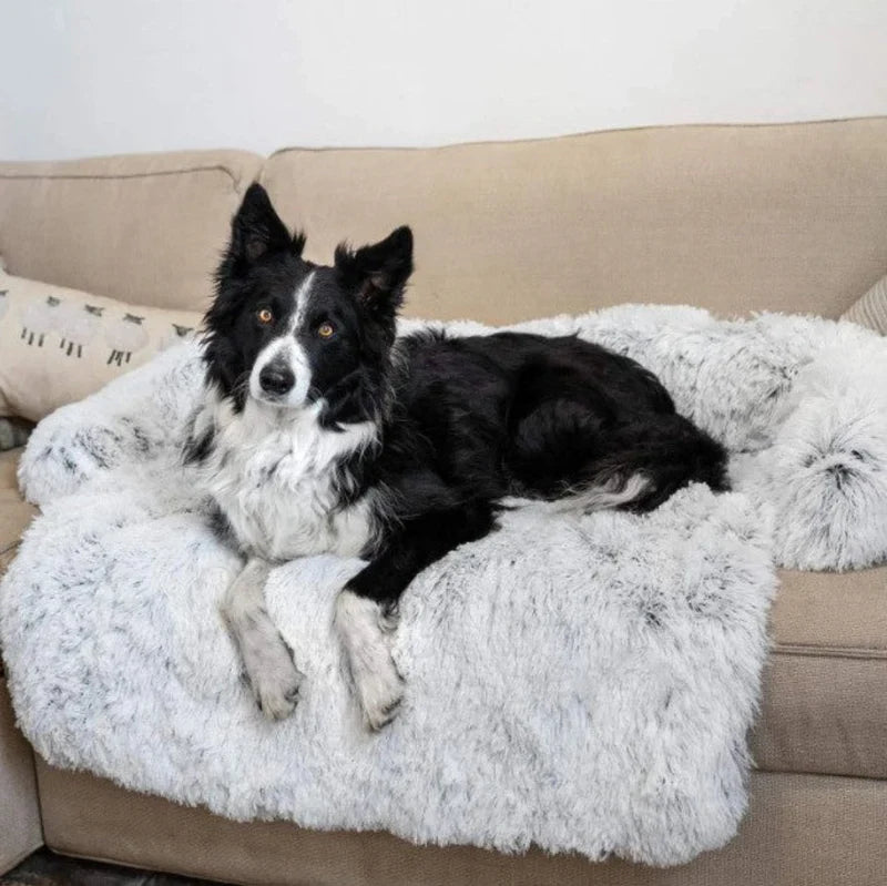 Luxury Dog Sofa