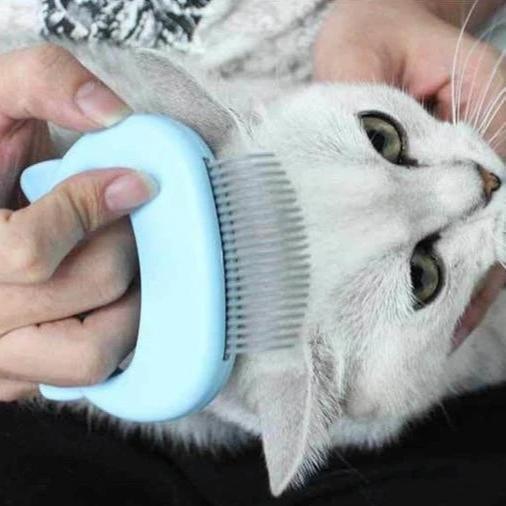 Massage and Grooming Brush for Cats