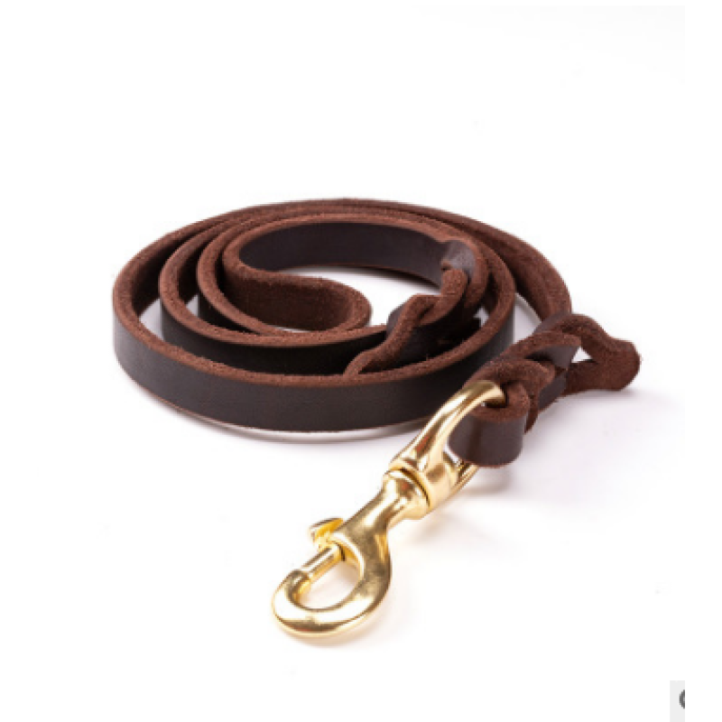 Leather Dog Lead with Gold Clip – Durable and Stylish Dog Accessory