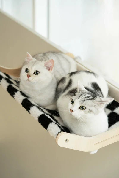Practical Hammock for Cats