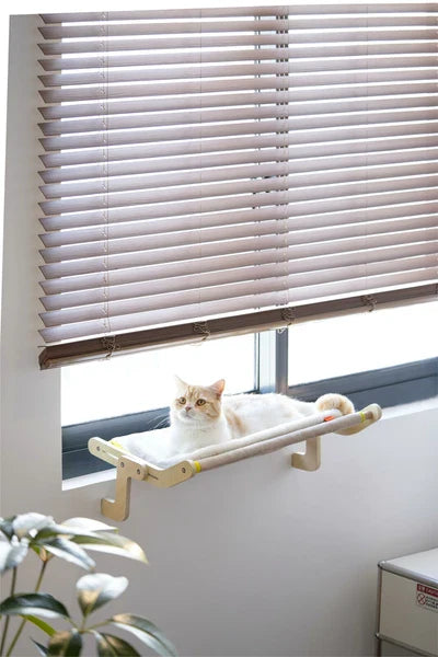 Practical Hammock for Cats
