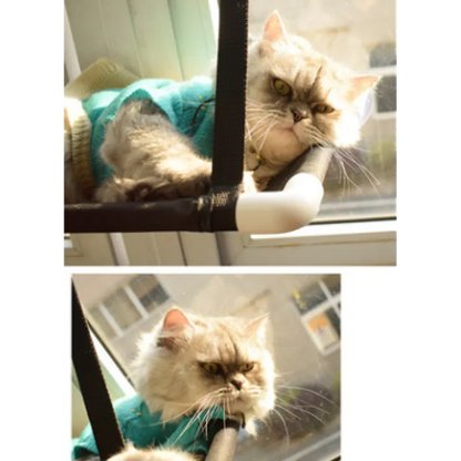 Cat Window - Compact and Stable with Suction Cup Feet