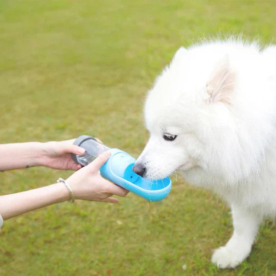 Portable Water Dispenser for Pets