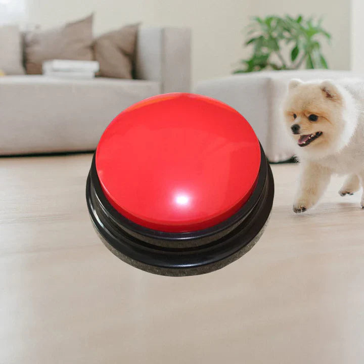 Interactive Pet Talk Button – Training & Communication