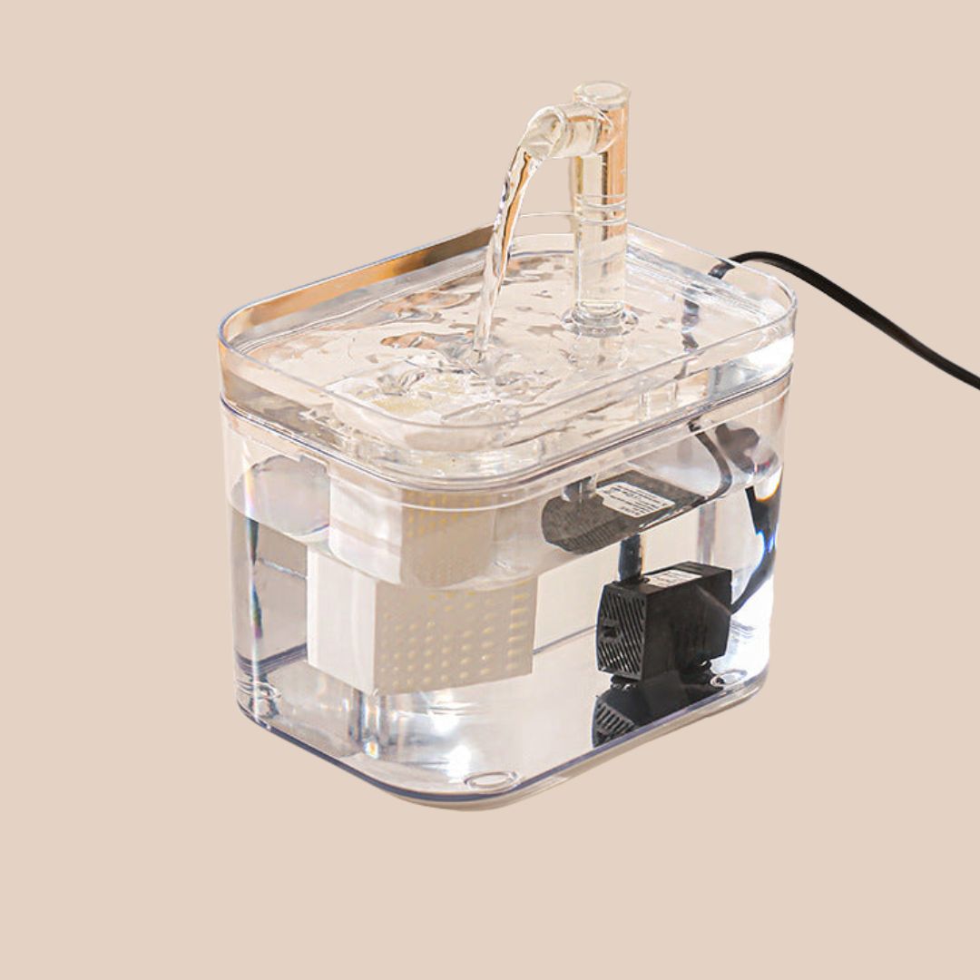 Premium Pet Fountain for Clean Water