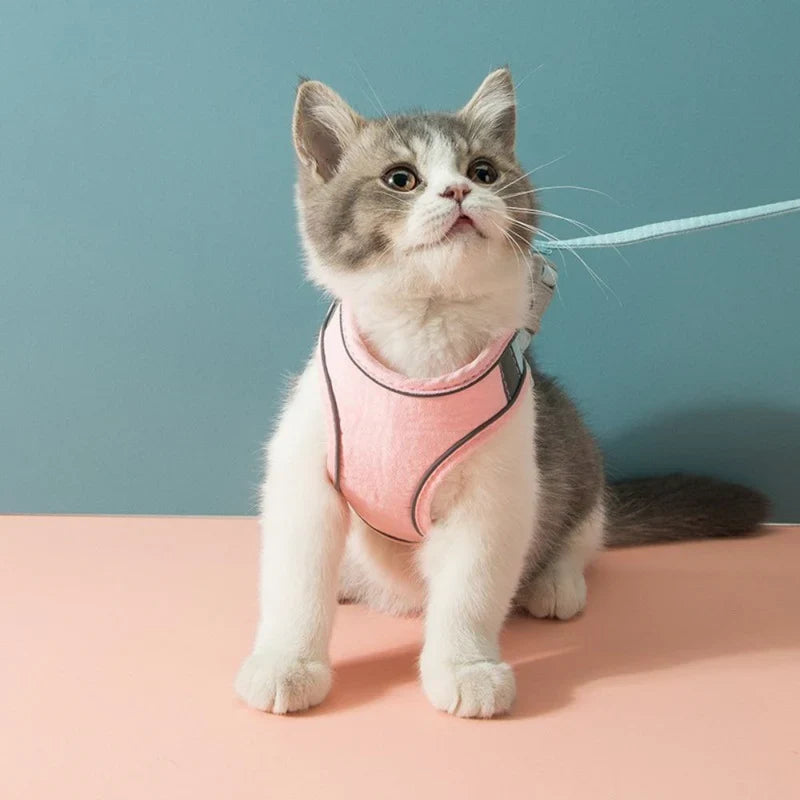 Cute Cat Harness