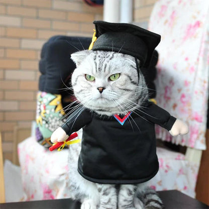 Creative Costumes for Pets