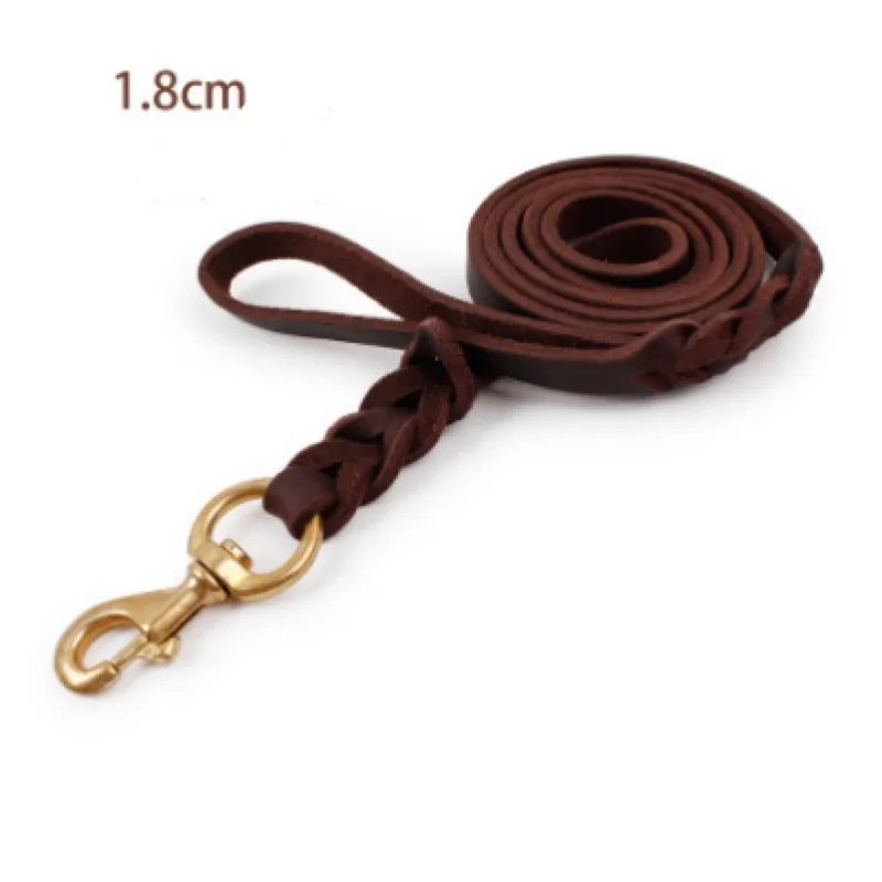 Leather Dog Lead with Gold Clip – Durable and Stylish Dog Accessory
