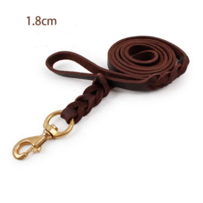 Leather Dog Lead with Gold Clip – Durable and Stylish Dog Accessory