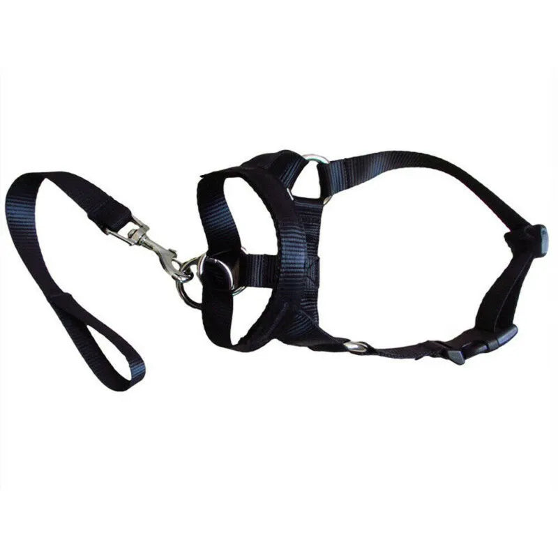Adjustable Harness with Leash for Small and Medium-Sized Dogs
