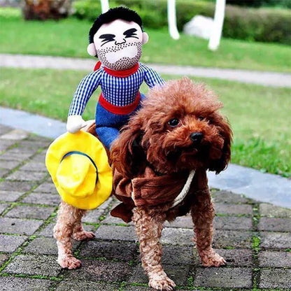Creative Costumes for Pets