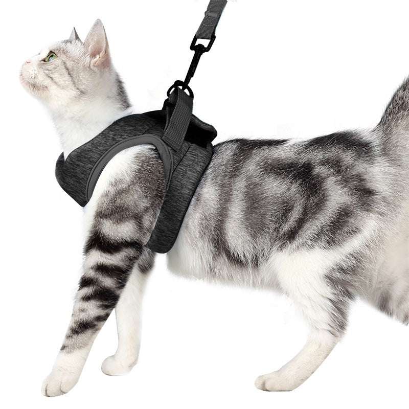 Cat Harness with Leash