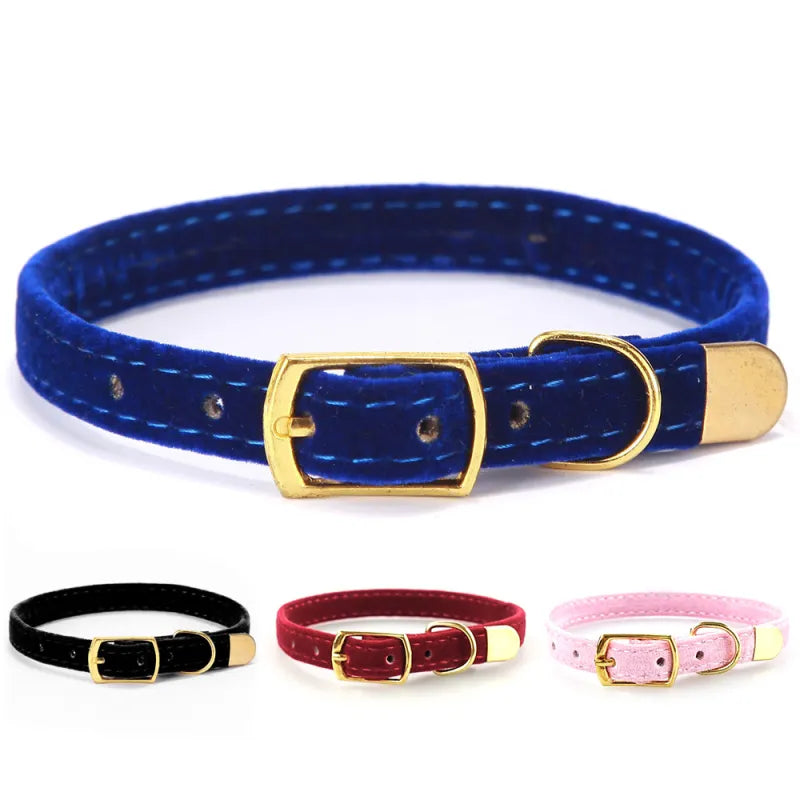 Velvet Cat Collar with Gold Buckle - Adjustable and Stylish