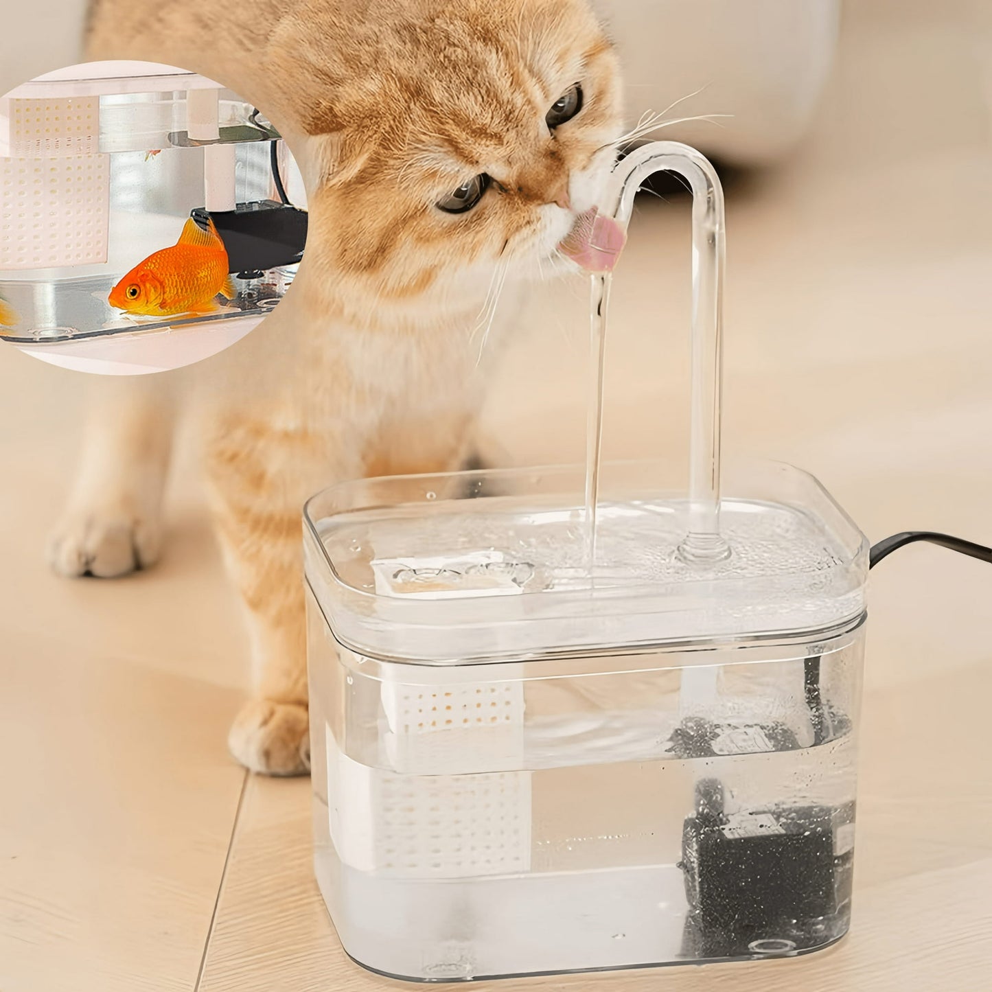 Premium Pet Fountain for Clean Water