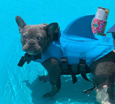 Dog Life Jacket