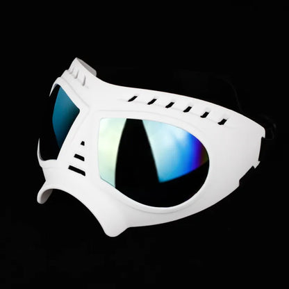 Dog Goggles – UV Protection and Windproof Glasses for Pets